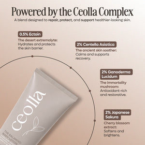 The Balanced Body Lotion